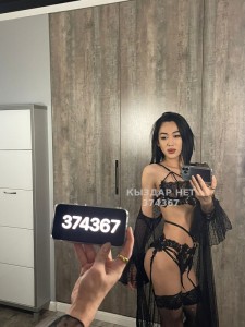 Транс Шымкента Транс№374367 Дует дикий кошек Фотография №2902515