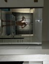 Фотография №3807749