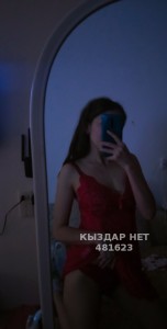 Проститутка Астаны Девушка№481623 Айару Фотография №3637127