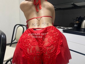 Проститутка Талдыкоргана Анкета №488193 Фотография №3683074